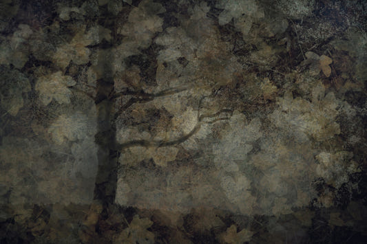 Ethereal Woodland Wall Mural -1760532