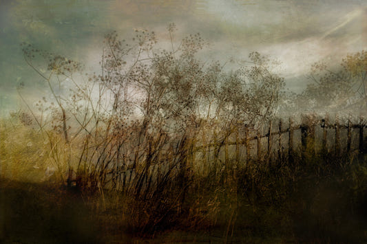 Overgrown Haze Wall Mural -1590772