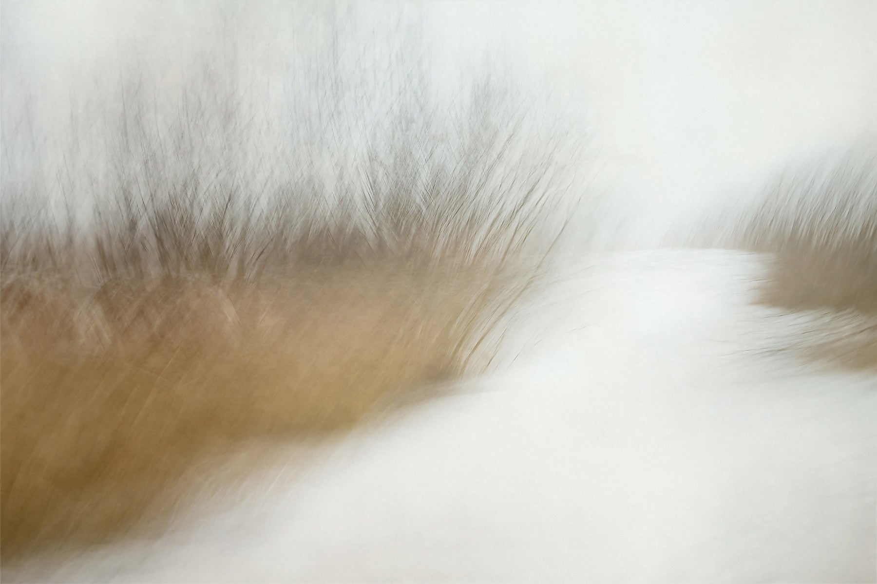 Blurred Horizon Wall Mural -2022166