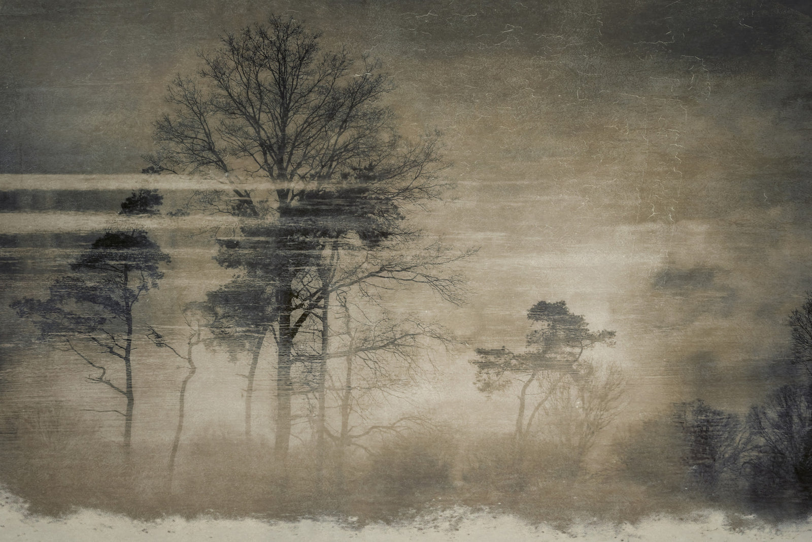 Ethereal Forest Wall Mural -1284127 in your room