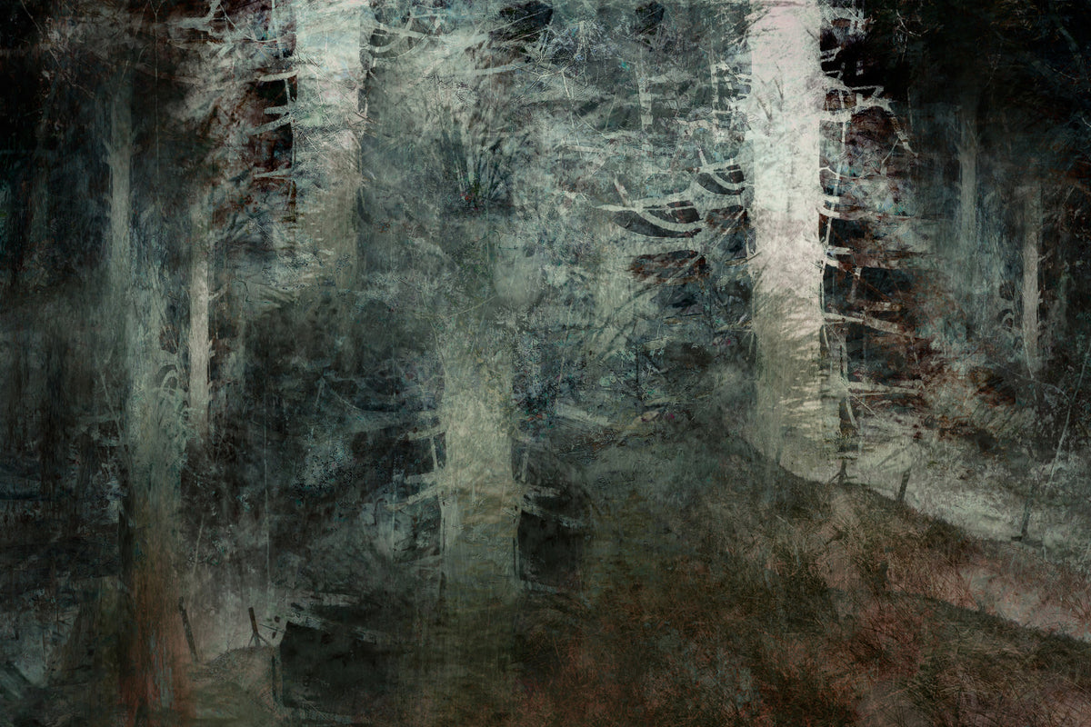 Ethereal Forest Dream Wall Mural -1946610 in your room