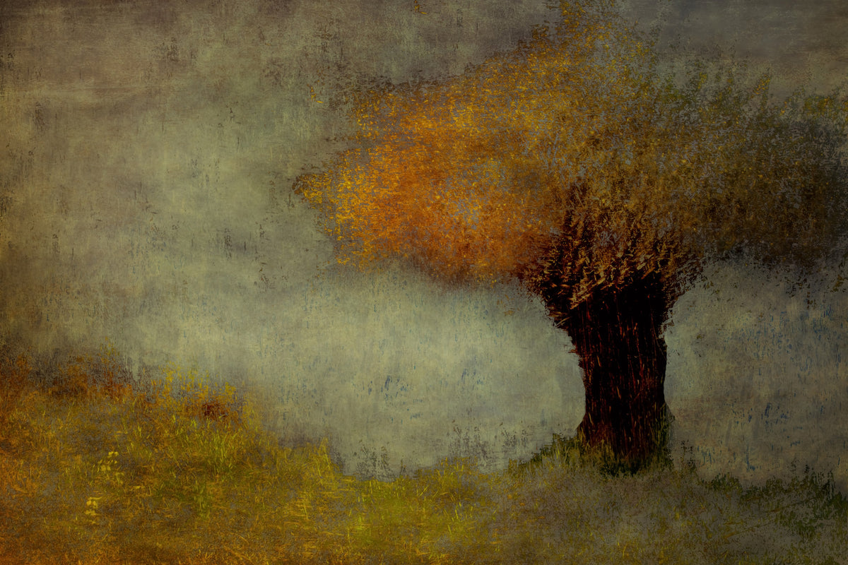 Tranquil Canopy Wall Mural -1437196 in your room — zoomed