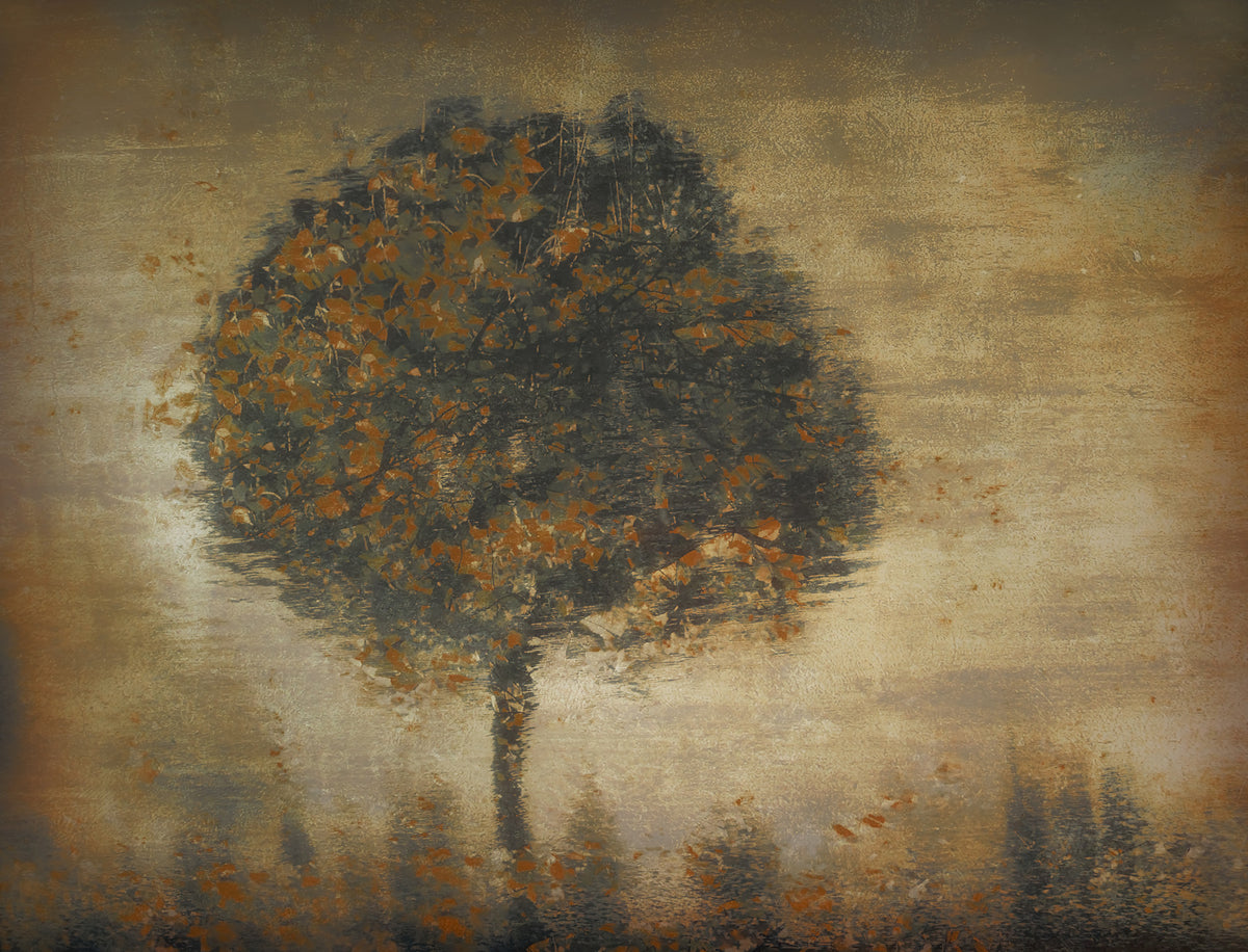 Autumnal Solitude Wall Mural -1433210 in your room