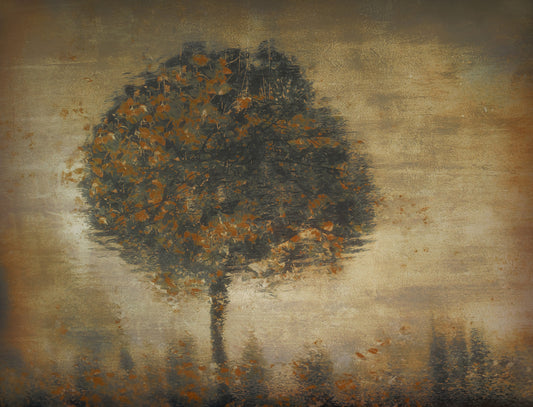 Autumnal Solitude Wall Mural -1433210