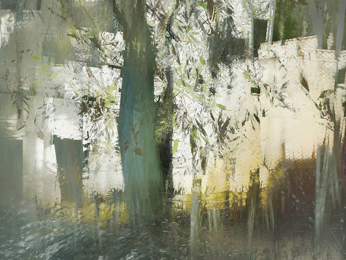 Misty Woodland Abstraction Wall Mural -2377428 in your room