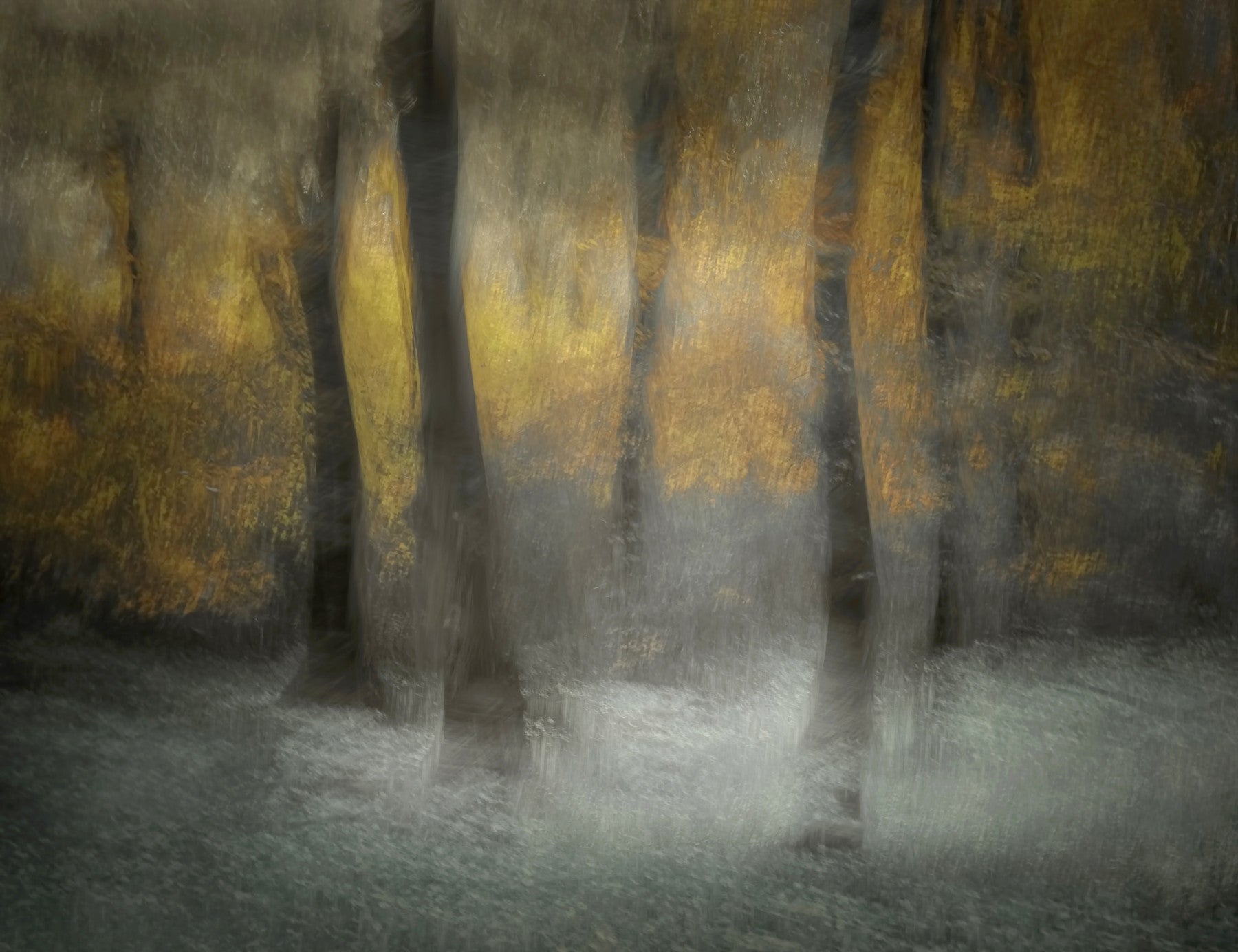 Ethereal Forest Whispers Wall Mural -1434012 in your room — zoomed