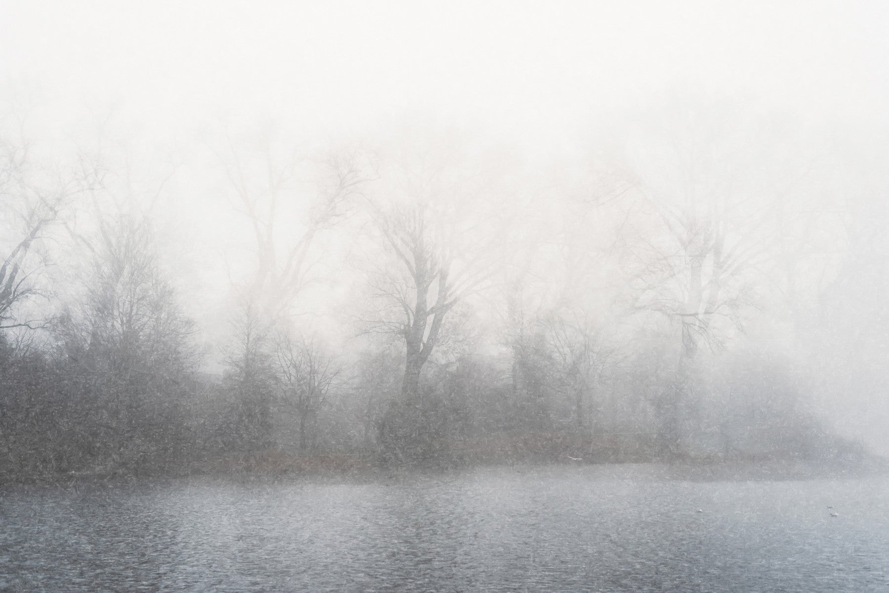 Misty Lake's Edge Wall Mural - 2679777