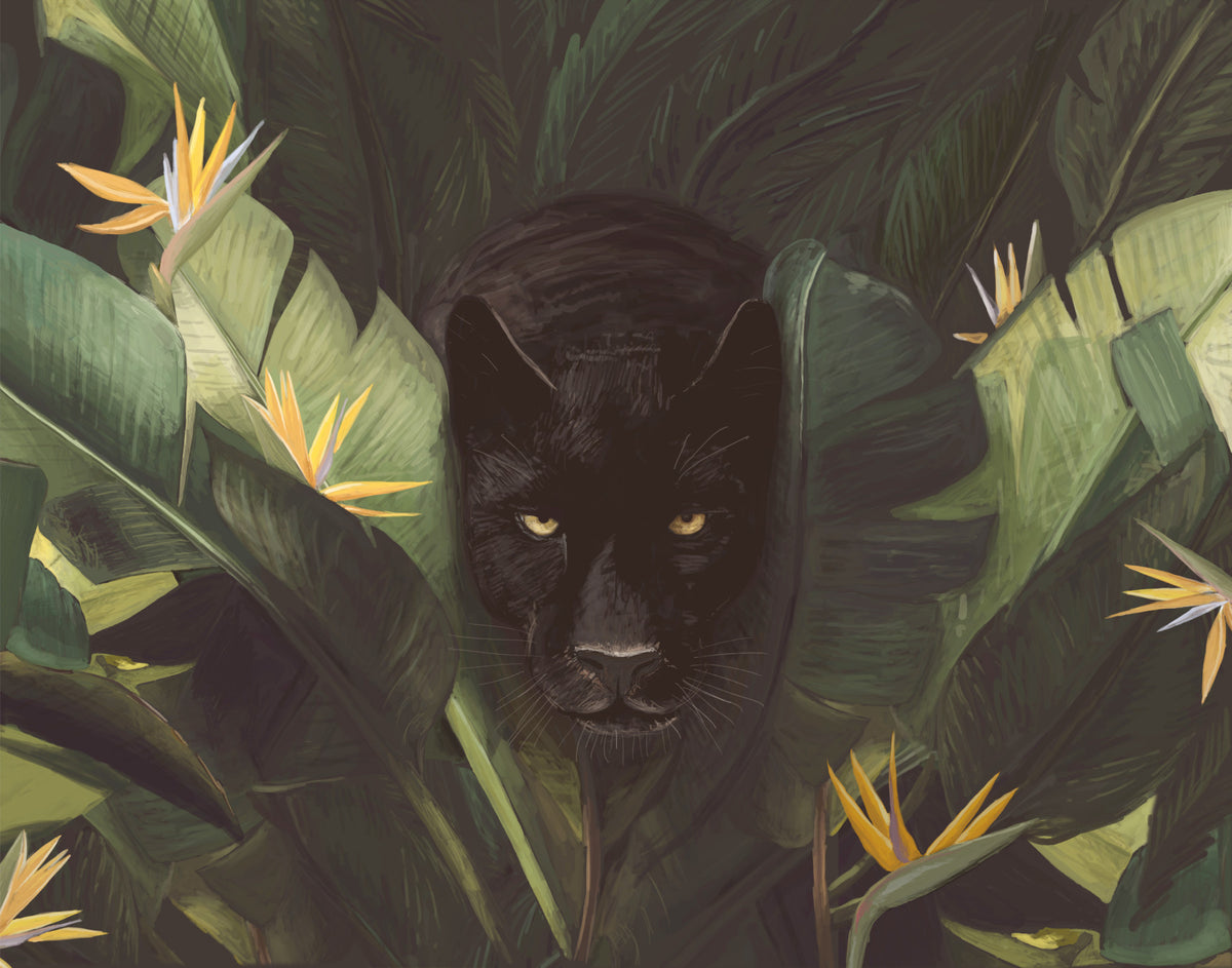 Jungle Noir: Hidden Gaze Wall Mural -2489655 in your room