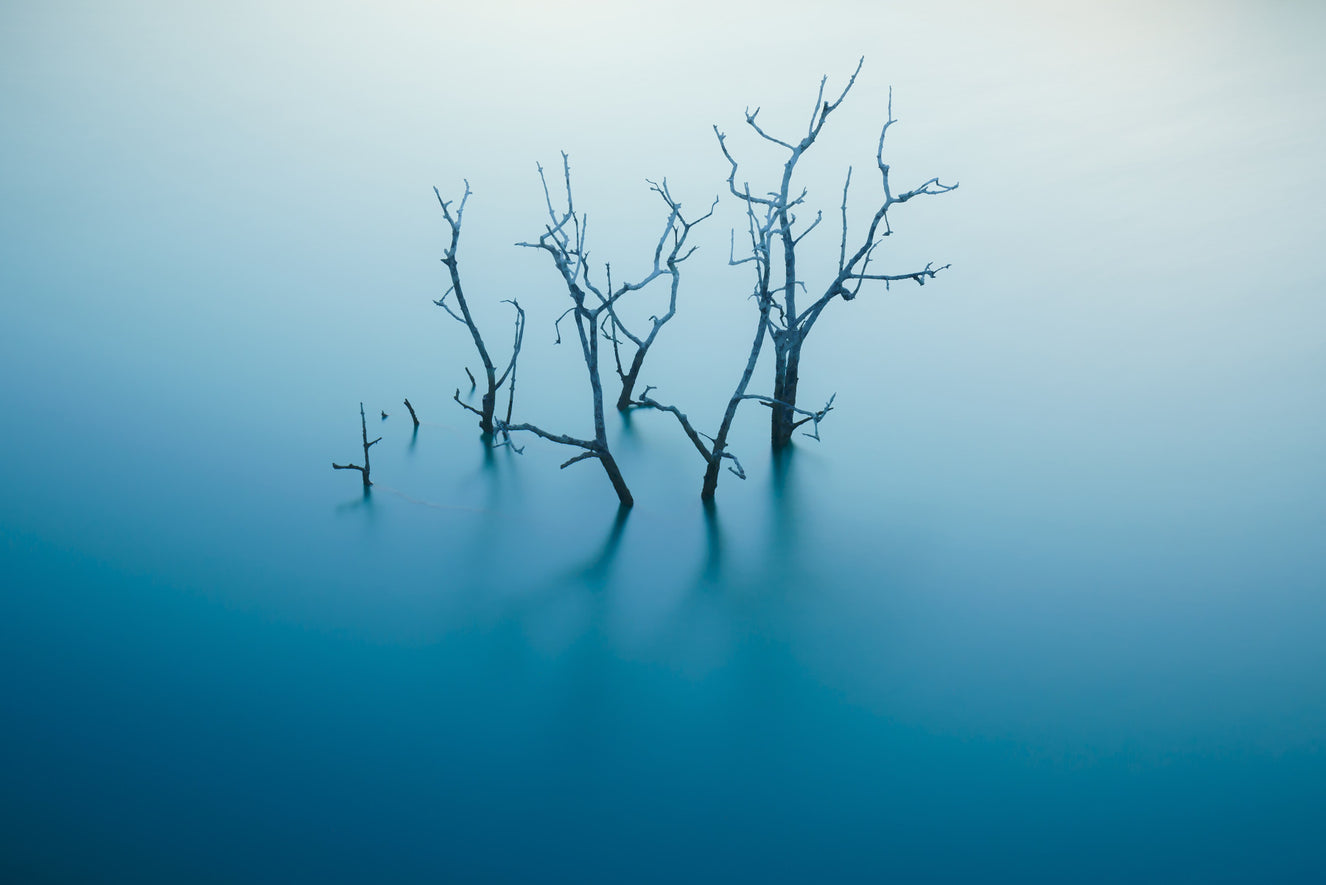 Aqua Reflections Wall Mural -2323746