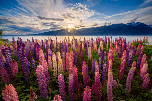 Floral Lake Dawn Wall Mural -2306485