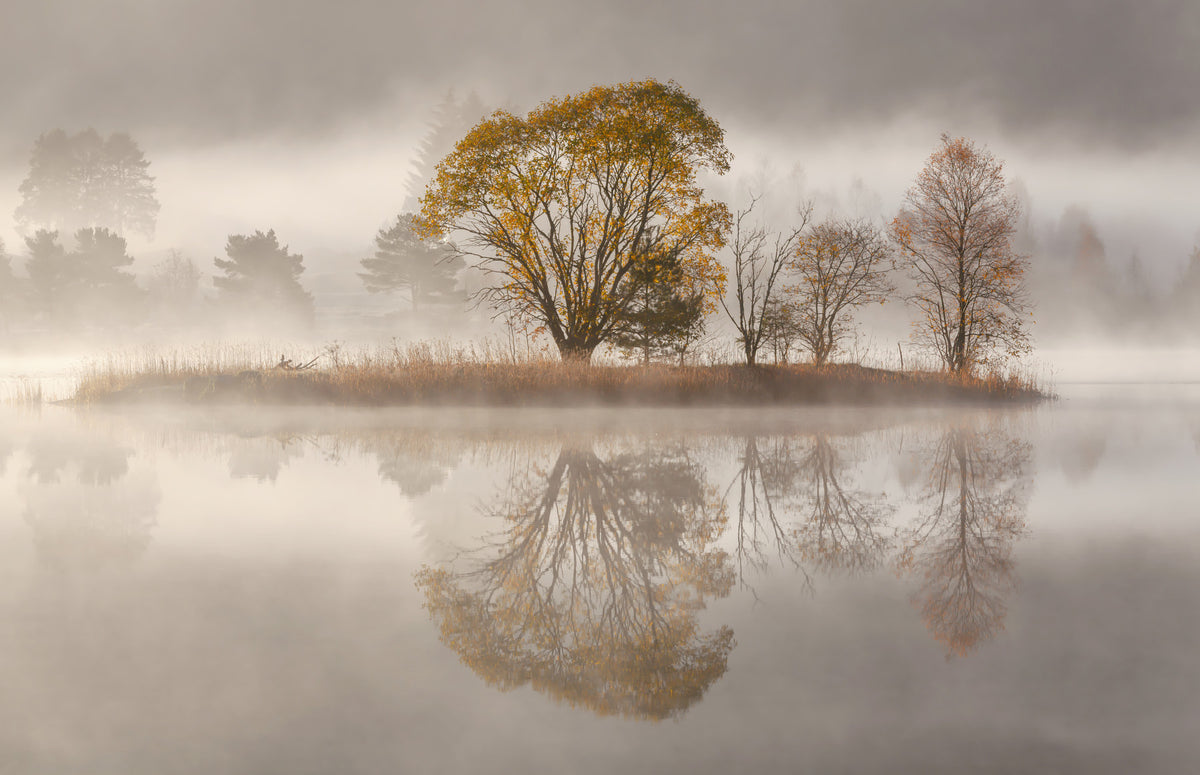 Autumnal Serenity Wall Mural -2425987 in your room — zoomed