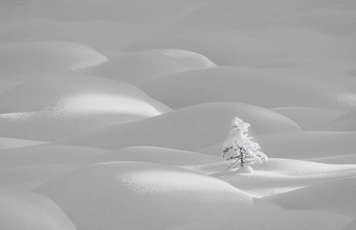 Snowscape Serenity Wall Mural -2178787 in your room
