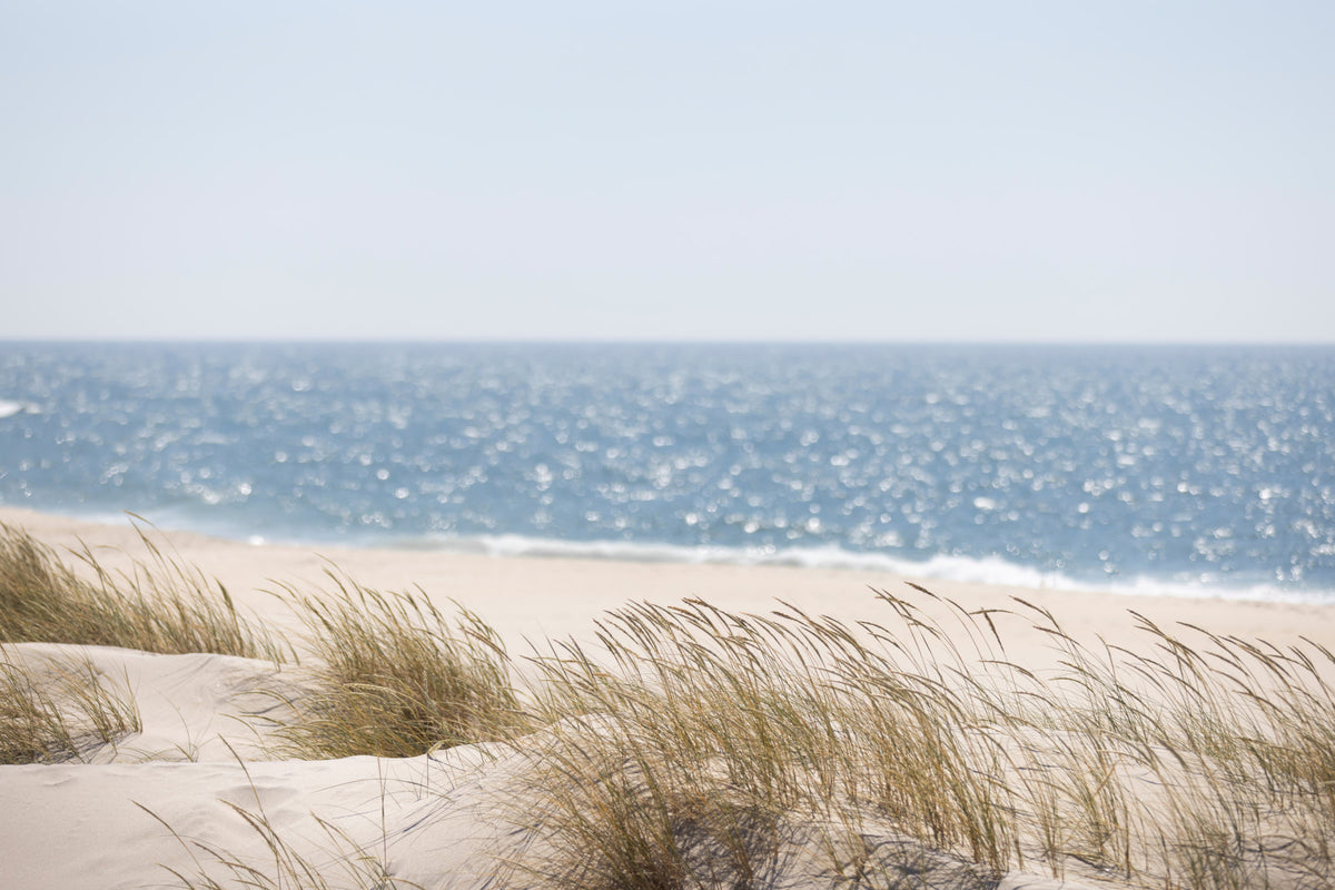 Beach Grass Hues Wall Mural -2670052