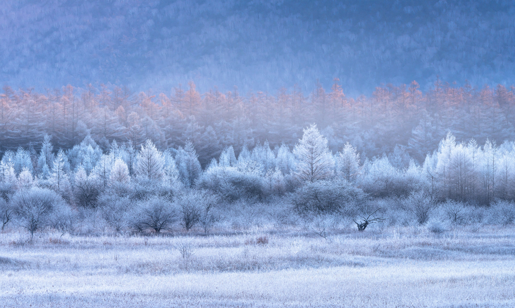 Frozen Dawn Vista Wall Mural -2593096