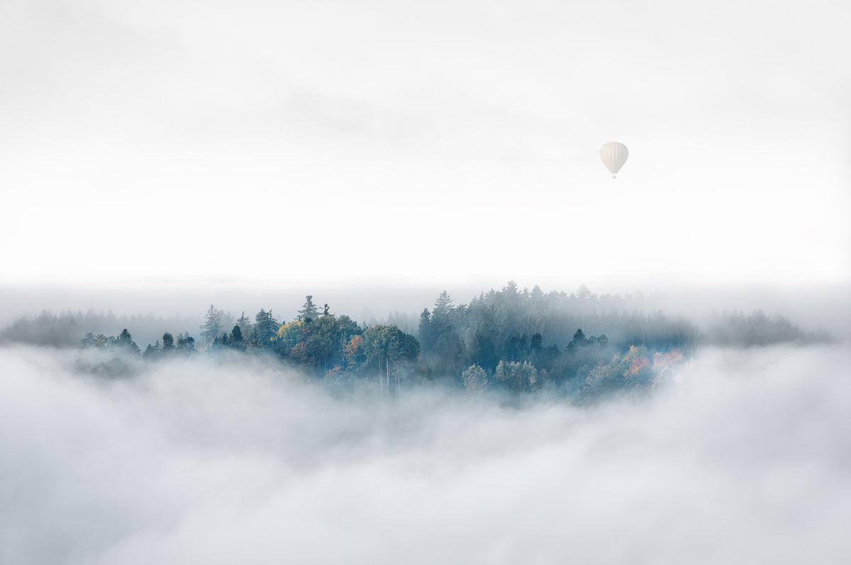 Above the Mist Wall Mural -2174342 in your room