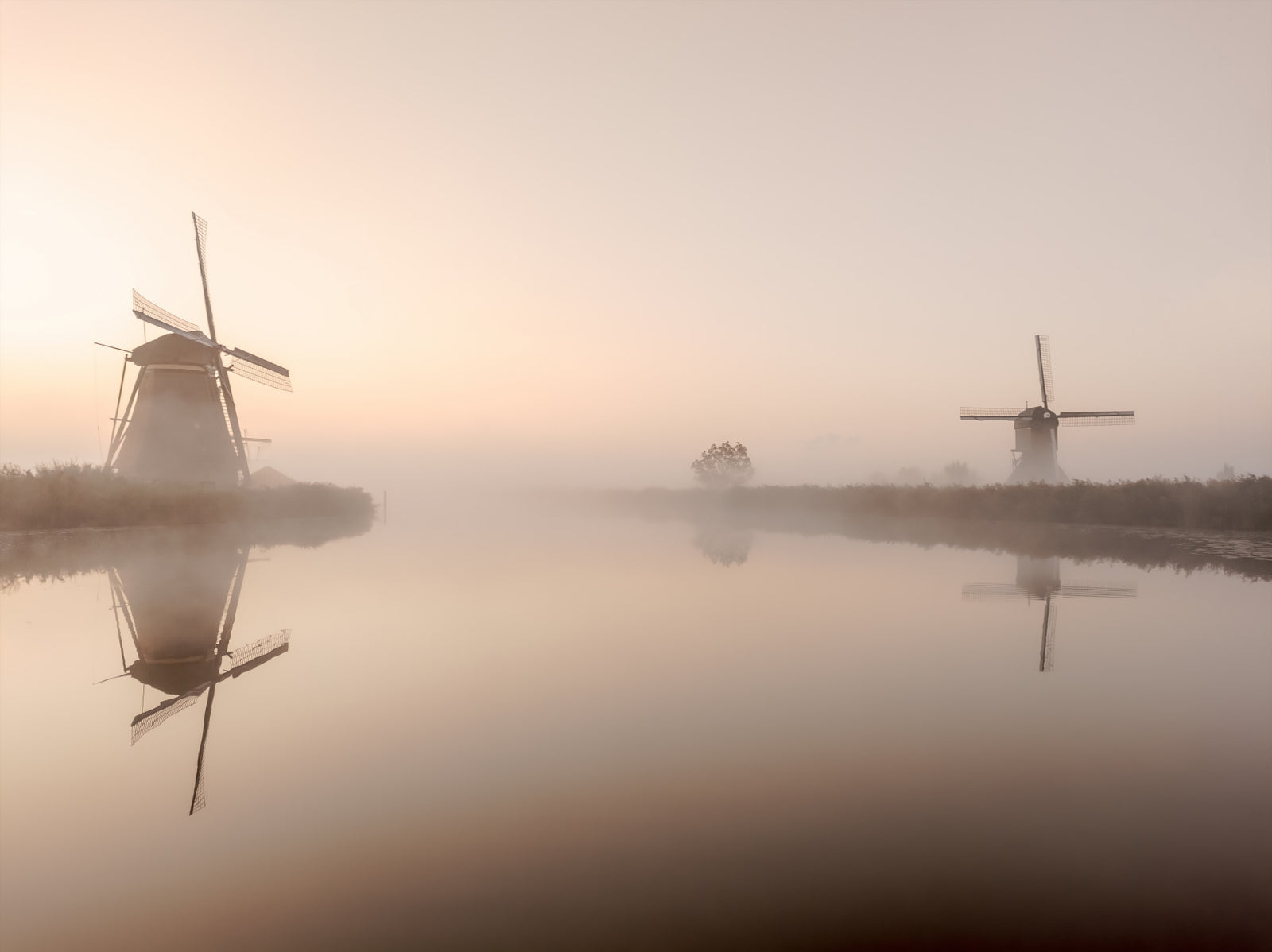 Golden Hour Windmills Wall Mural -2351700