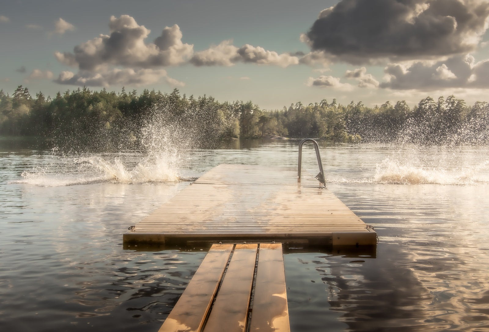 Lake Jump! Wall Mural -2221045