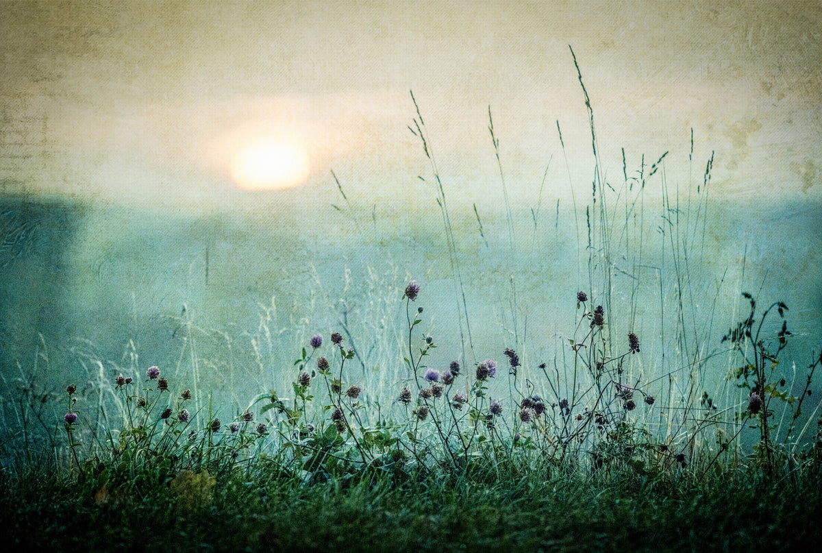 Vintage Meadow Dawn Wall Mural -1026605 in your room