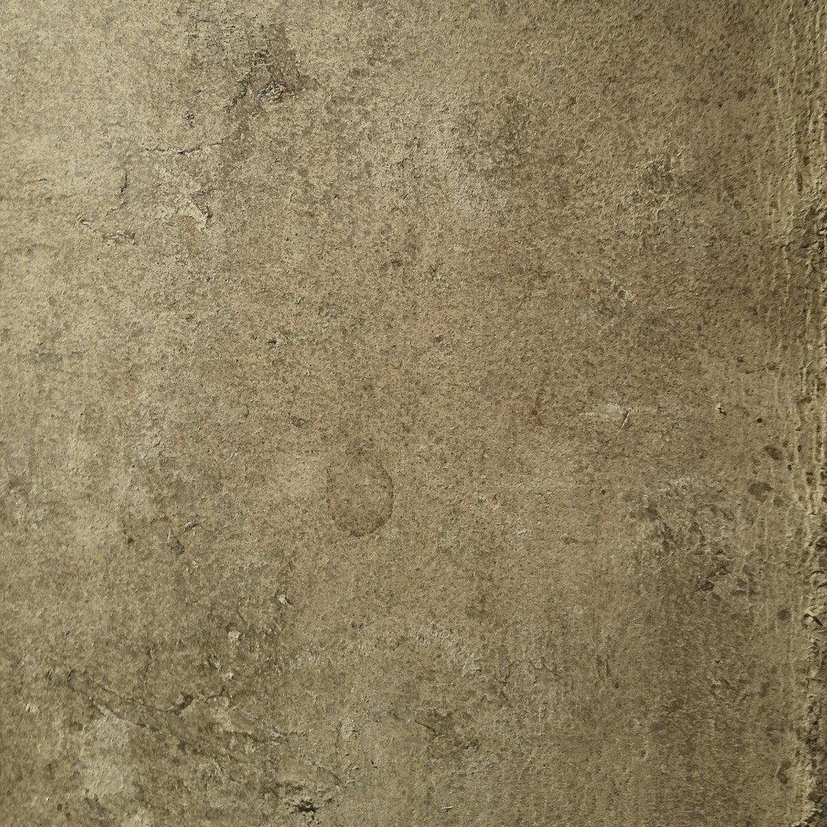 Aged Leather - Hide Wall Mural in your room — zoomed
