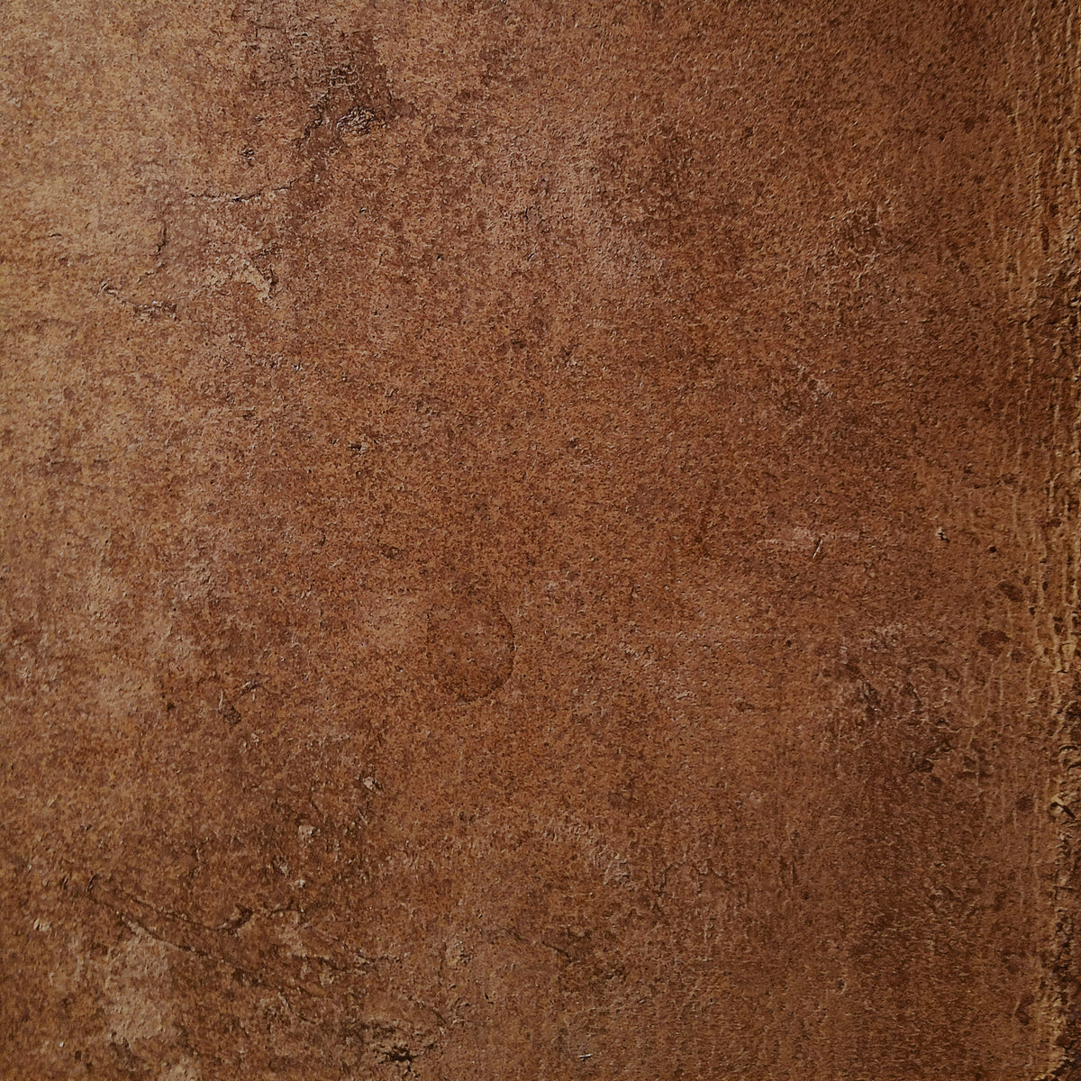Aged Leather - Saddle Wall Mural