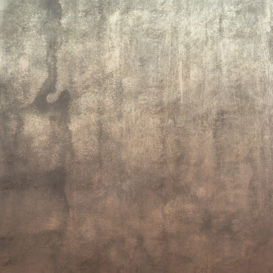 Earthy Textured Watercolour - Mushroom Wall Mural