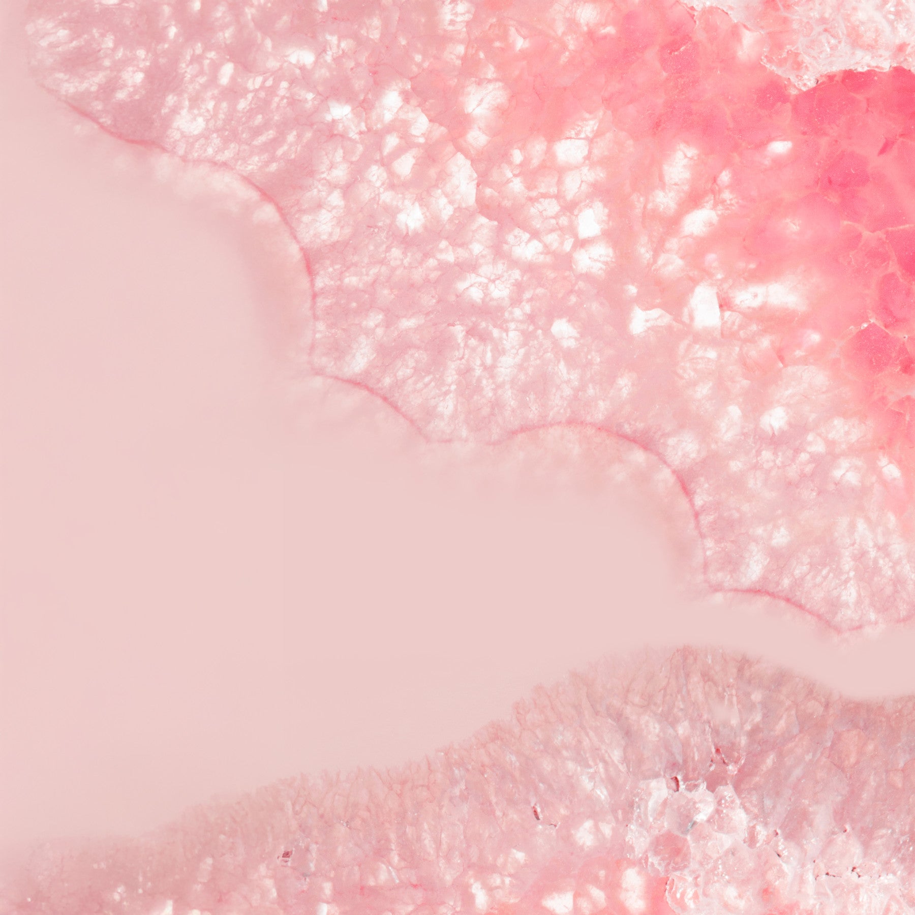 Blossom Petal Serenity Crystals Wall Mural in your room — zoomed