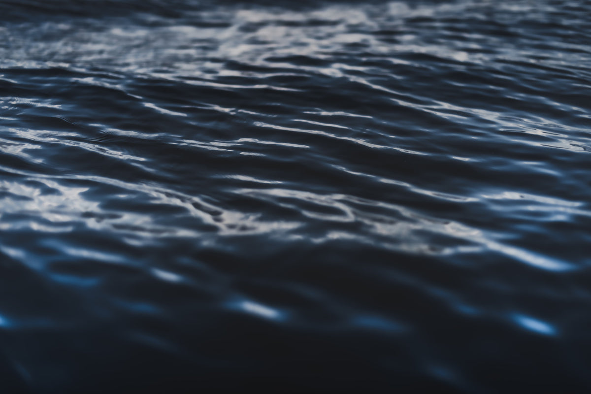 Deep Sea Ripples Wall Mural -2226382 in your room