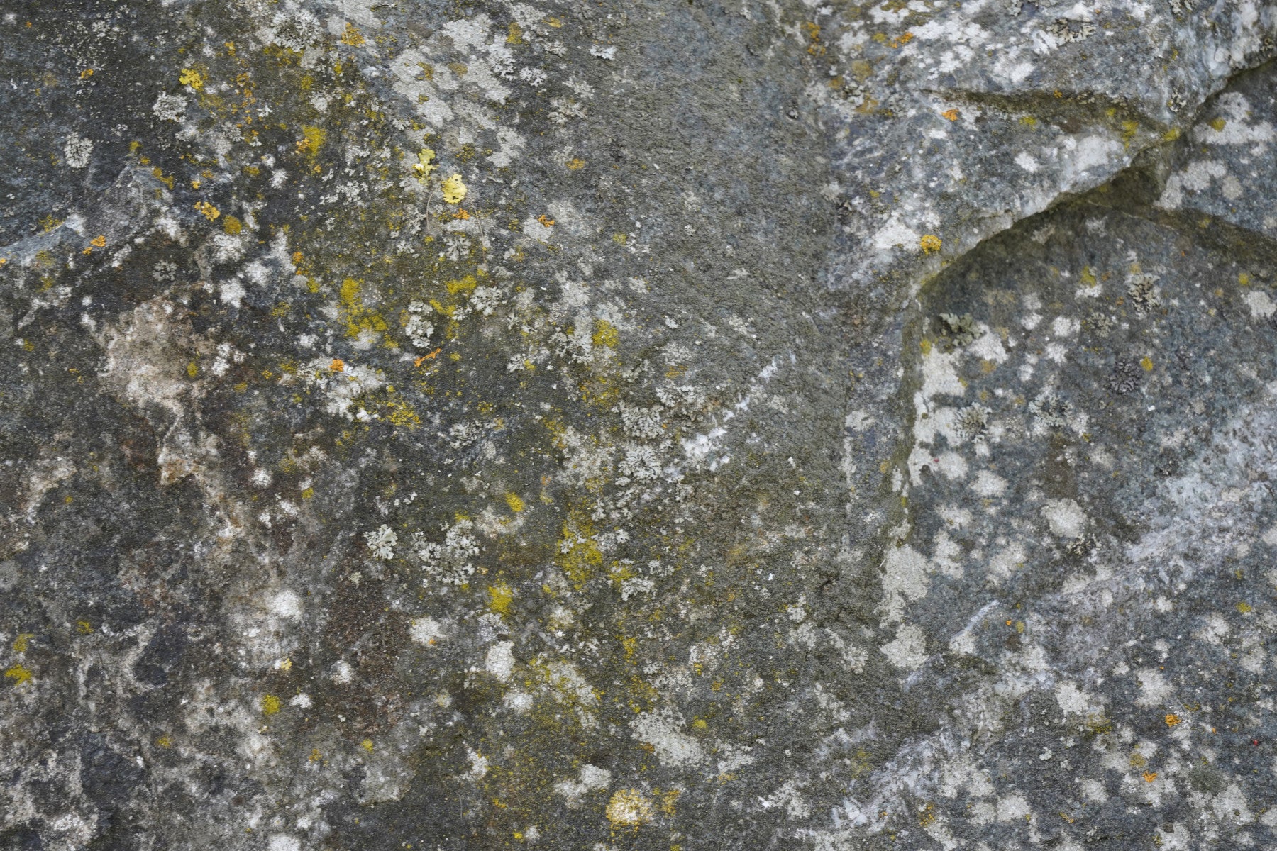 Stone Texture Wall Mural -2566622