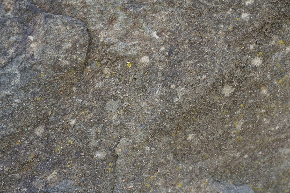 Textured Rock Surface Wall Mural -2566614