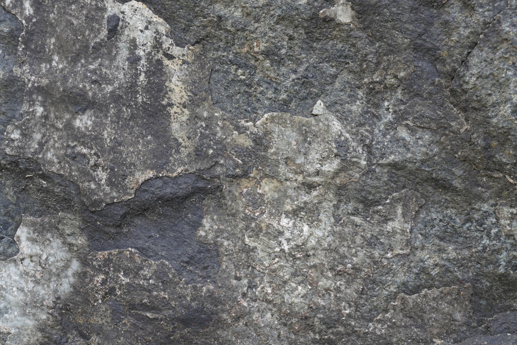 Nature's Rock Wall Mural - 2566616 in your room — zoomed