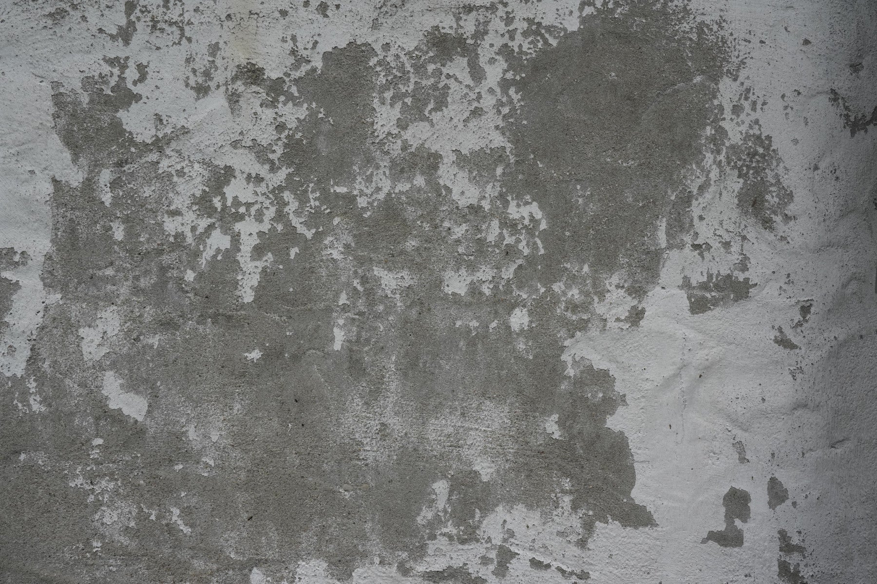 Distressed Wall Mural -2566583