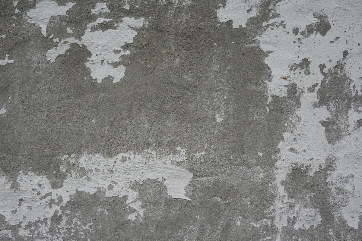 Distressed Concrete Wall Mural -2566584 in your room