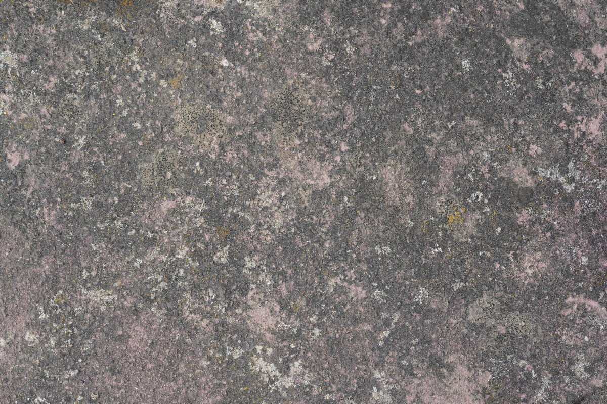 Whispers of Pink Stone Wall Mural -2566600