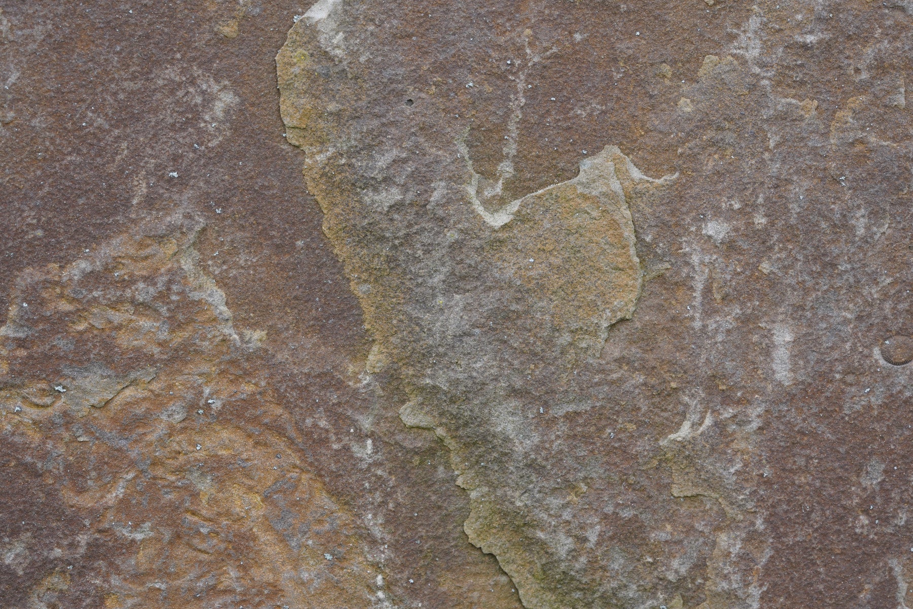 Earthy Stone Texture Wall Mural -2566597