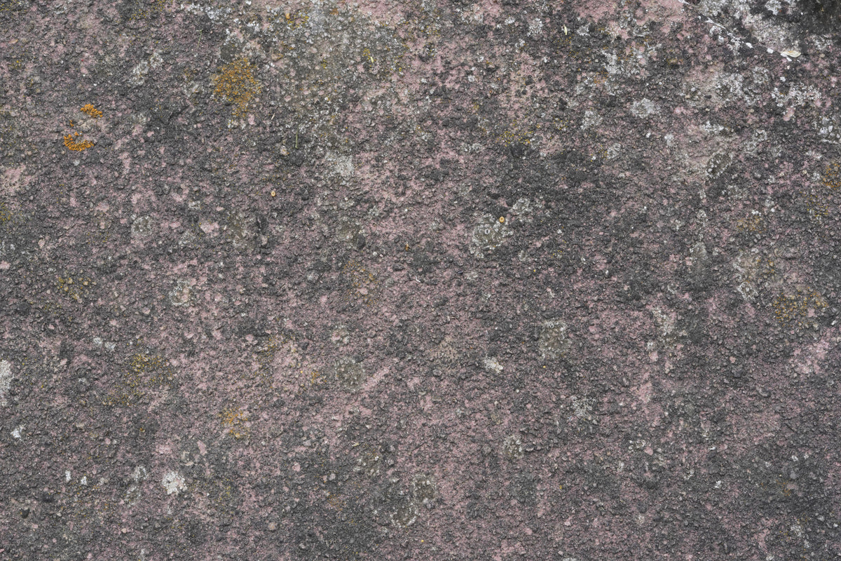Aged Earth Wall Mural -2566601 in your room — zoomed