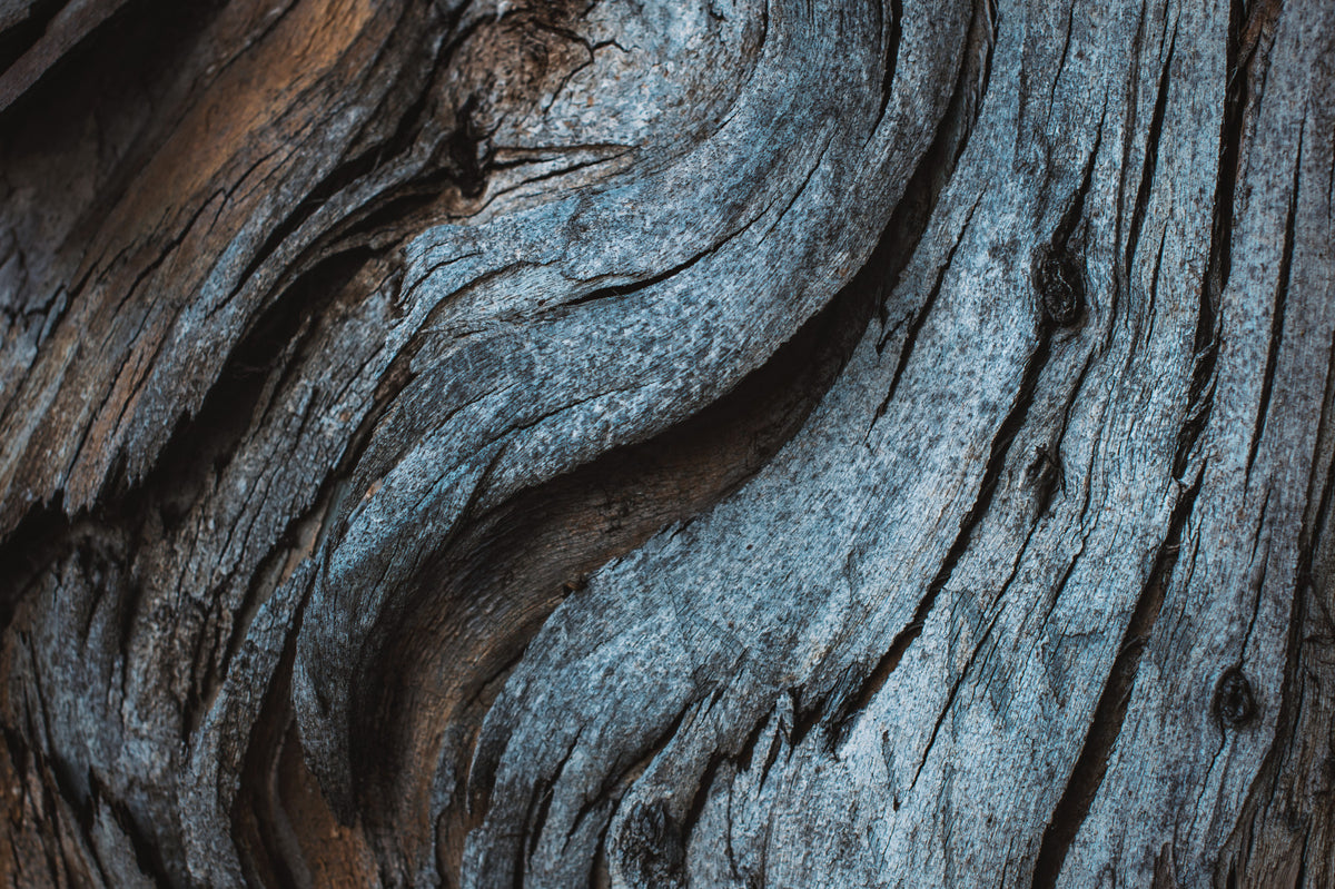 Rustic Blue Wood Wall Mural -2226211 in your room