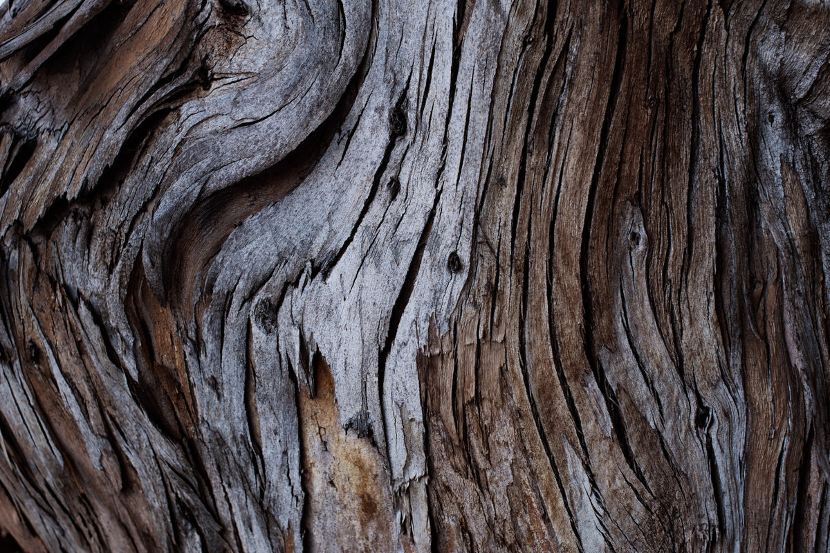 Worn Timber Wall Mural -2226210 in your room — zoomed