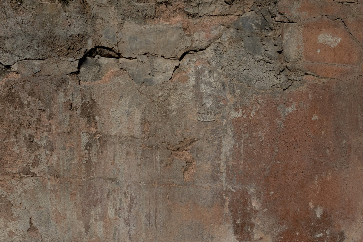 Rustic Earth Tones Wall Mural -2306787