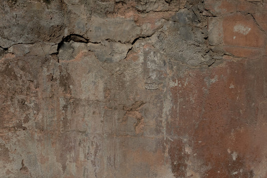 Rustic Earth Tones Wall Mural -2306787