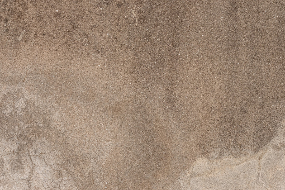 Earthy Canvas Wall Mural - 2306808 in your room