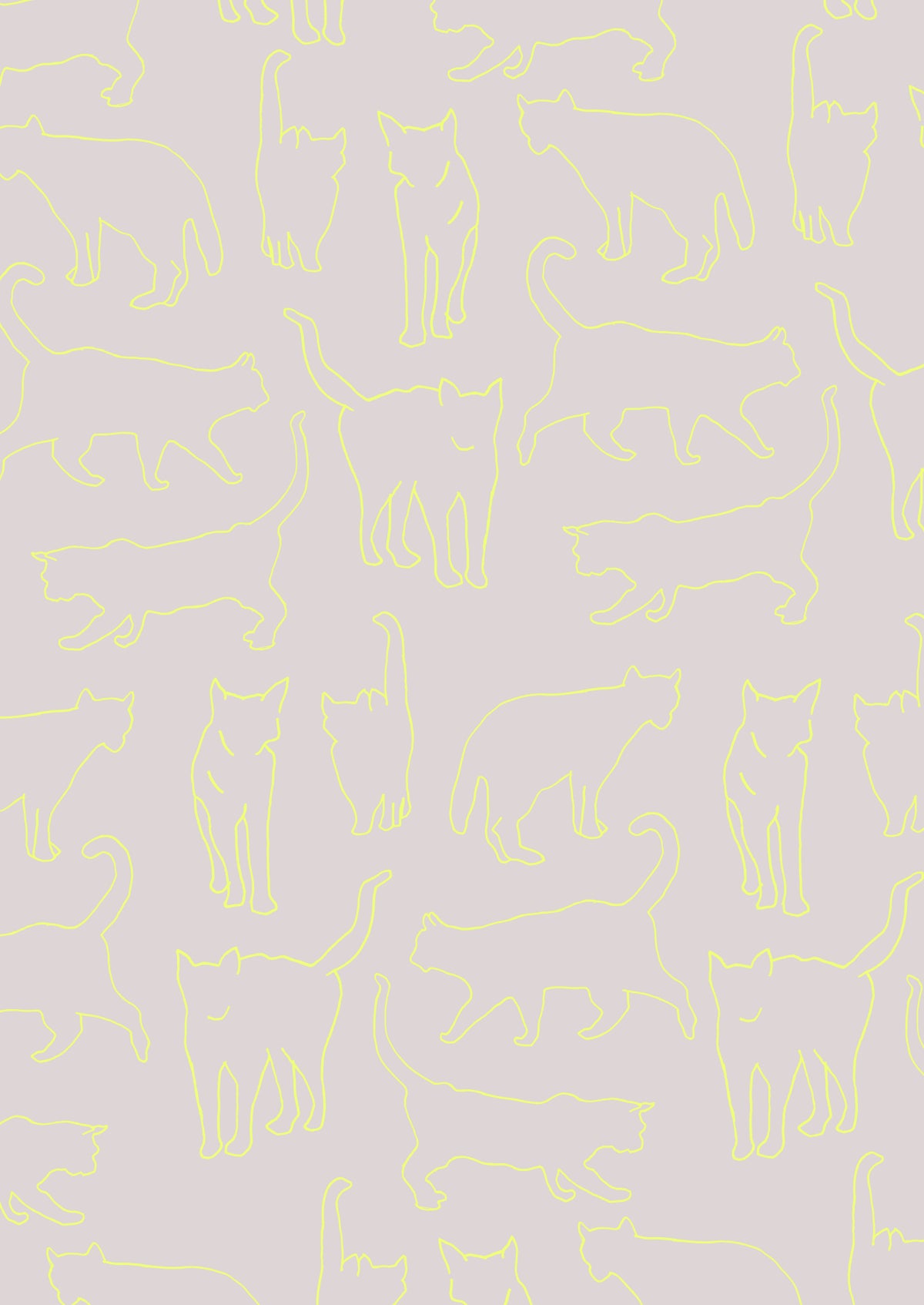 Neon Cats Wall Mural in your room
