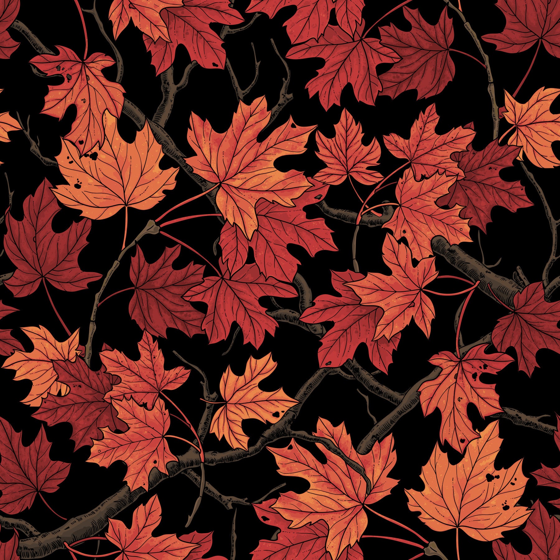Red Autumn maple leaves on black Wallpaper⁠