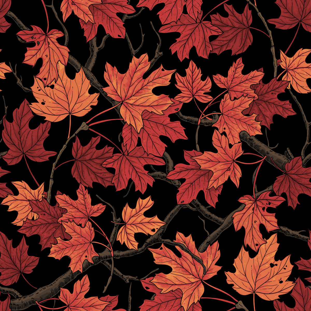 Red Autumn maple leaves on black Wallpaper⁠ in your room — zoomed