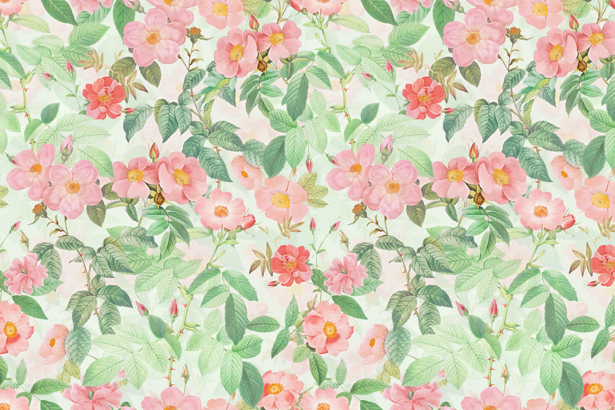 Vintage Redouté  Rose Garden Wall Mural in your room — zoomed