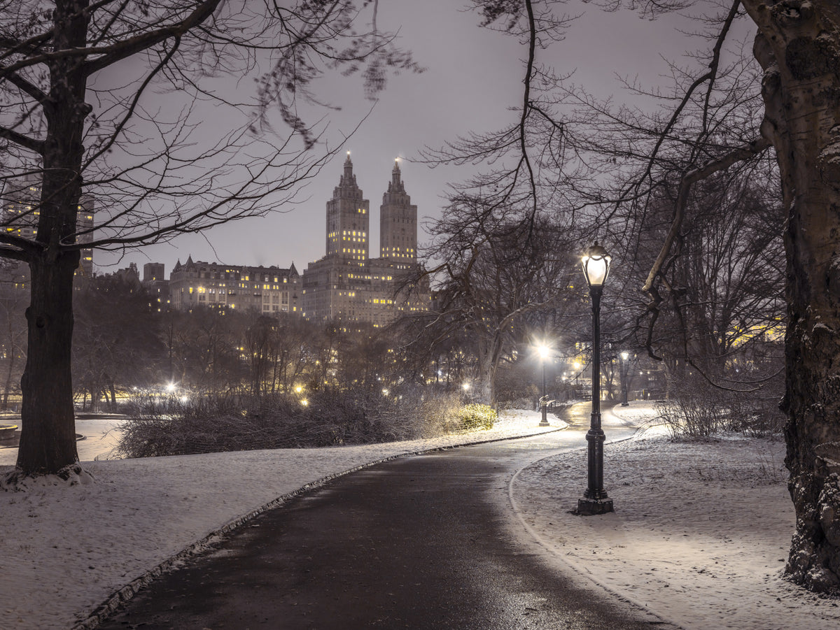 Park Path at Night Wall Mural in your room — zoomed