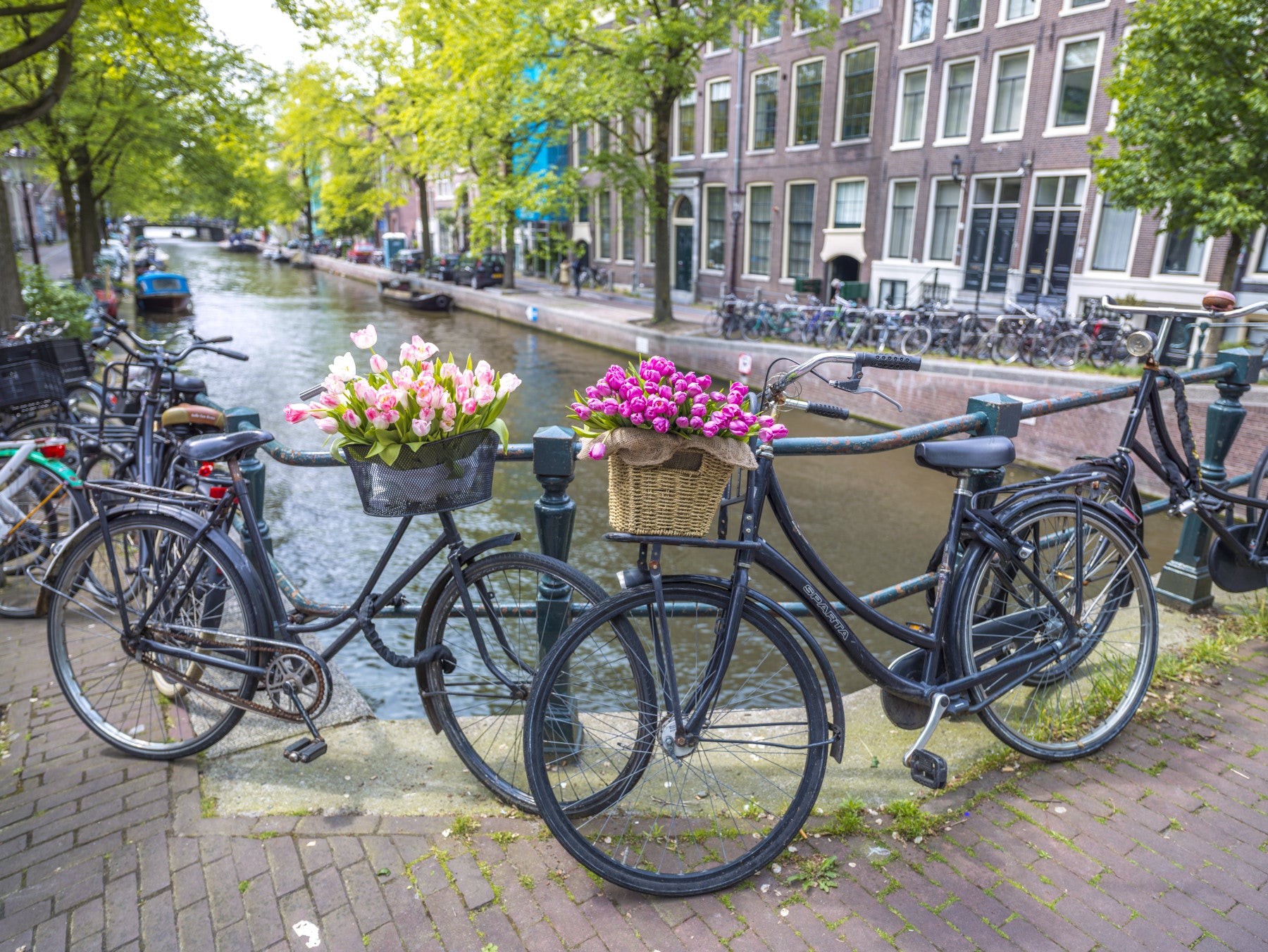 Spring flowers mural bicycle foreground quaint Amsterdam backdrop.