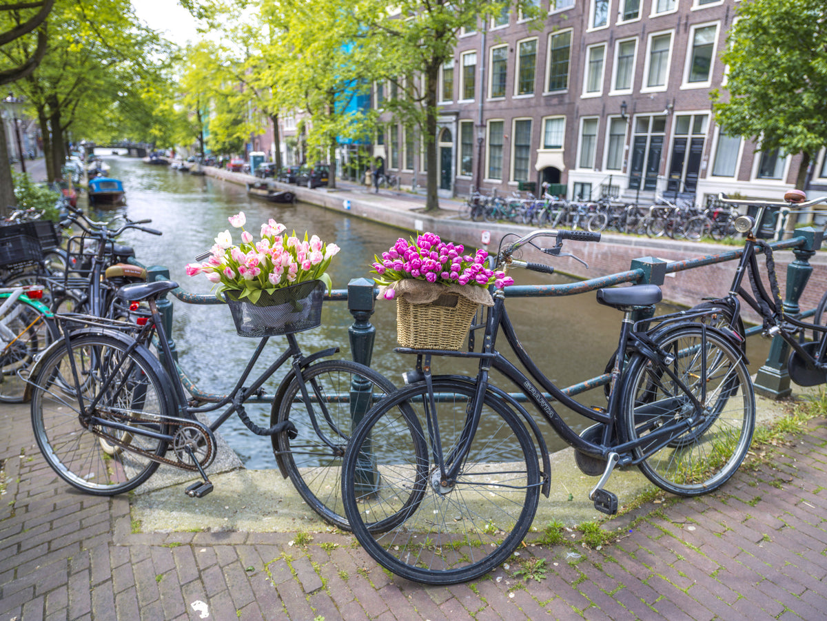Amsterdam Blooms on Wheels Wall Mural in your room