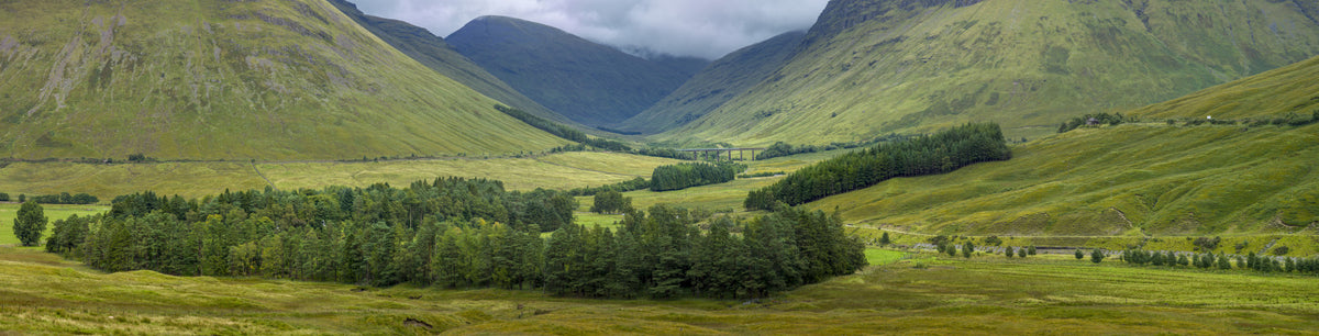 Scottish Highlands Vista Wall Mural in your room — zoomed