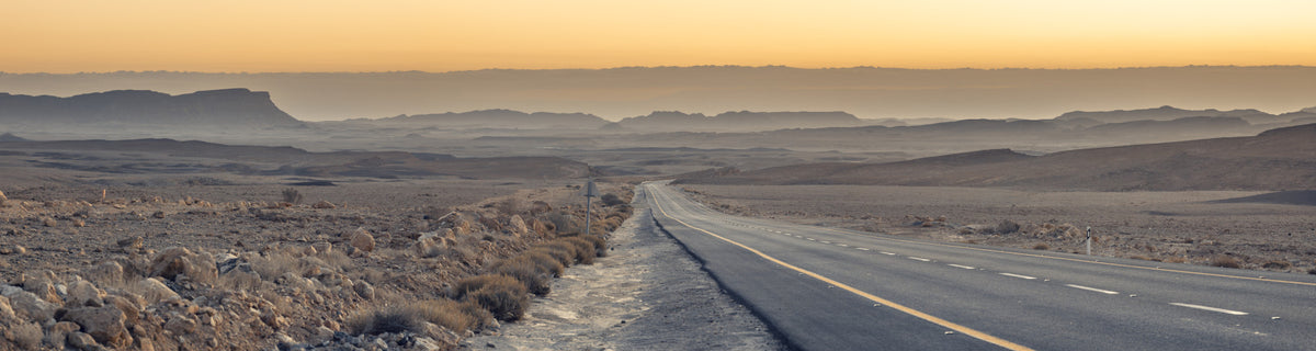 Traversing the Desert Wall Mural in your room