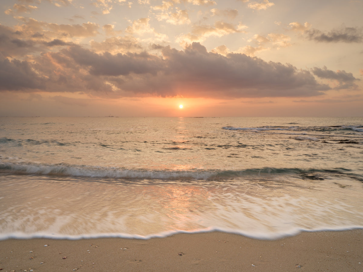 Gilded Shores at Dusk Wall Mural in your room